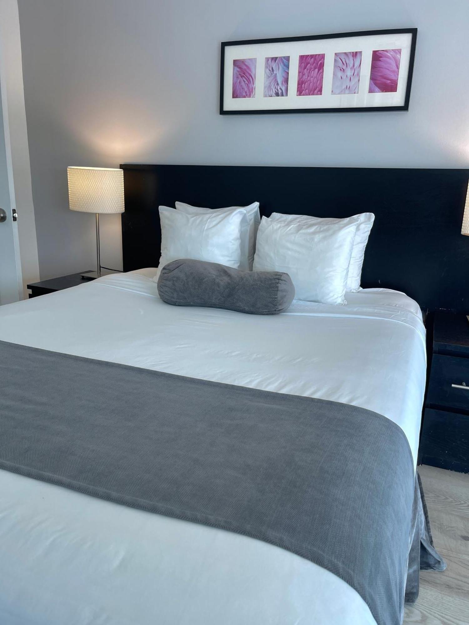 New Point Miami Beach Apartments Dış mekan fotoğraf